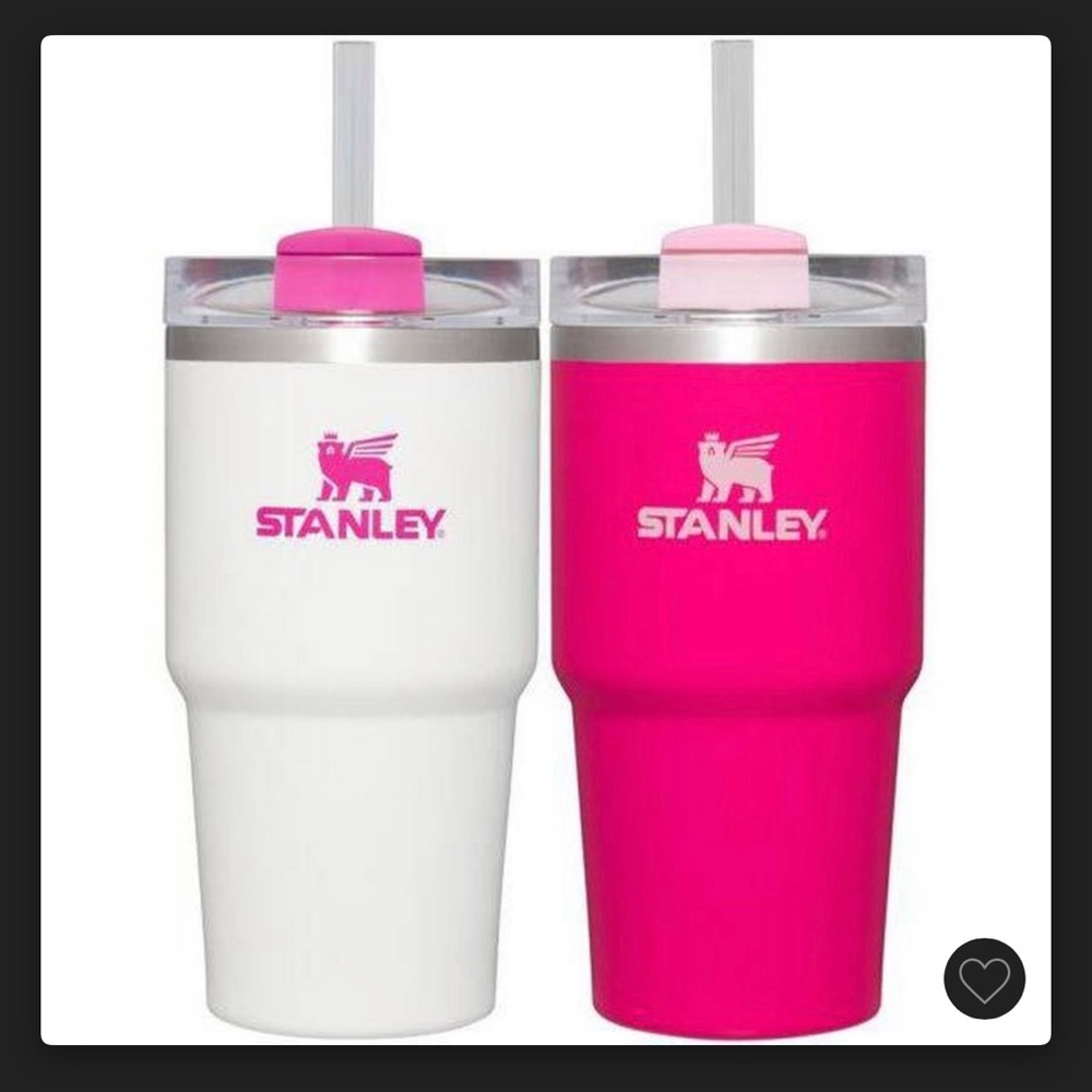 Stanley 2pk 20 oz Tumblers